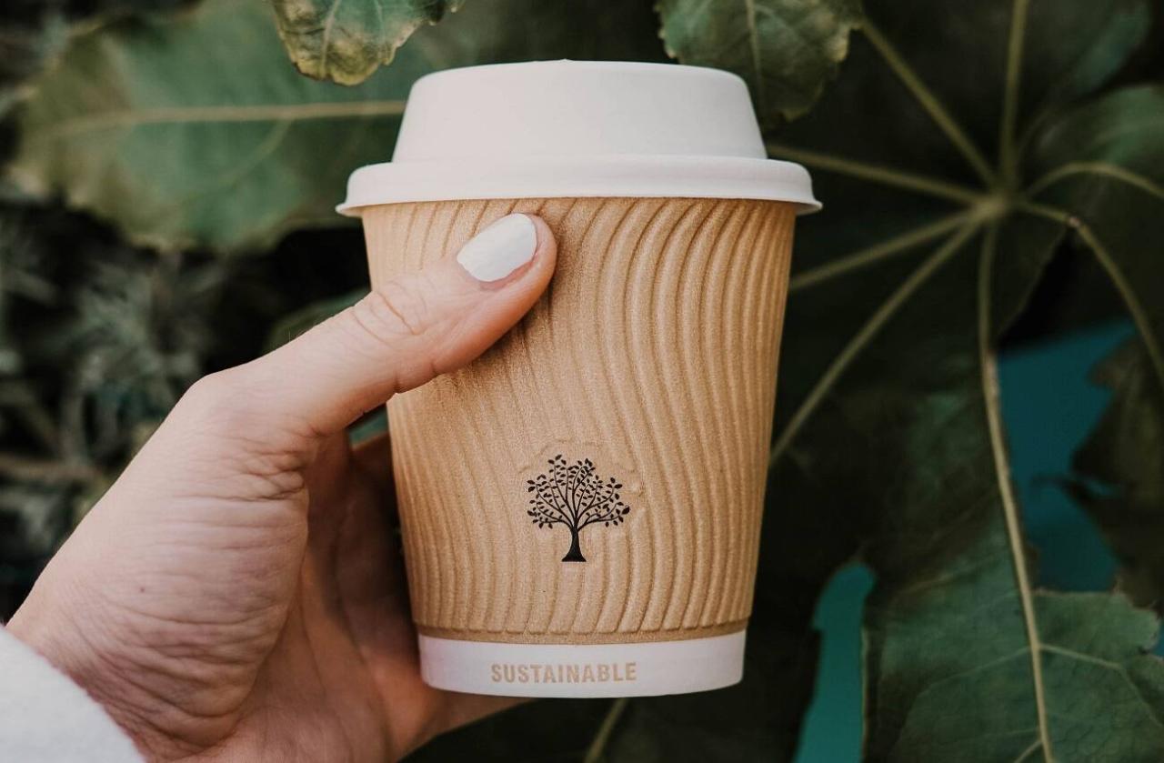 7 Sustainable Products to Make Your Home a Better Place | Azure Magazine