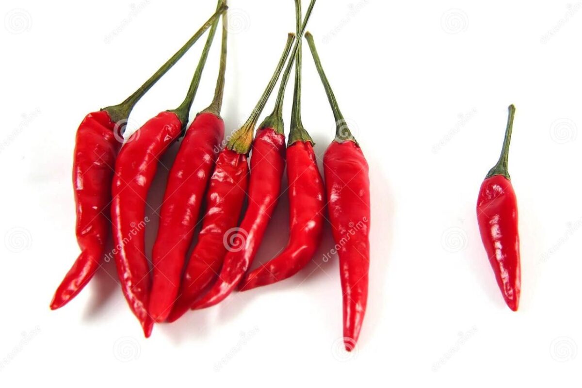 Hot items that capture todays consumer trends