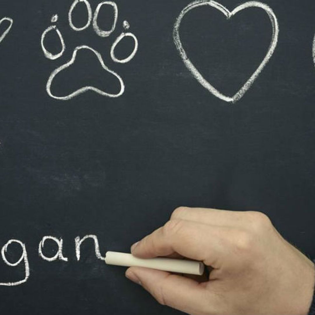 43 Beauty And Skincare Products Our Readers Loved In 2019