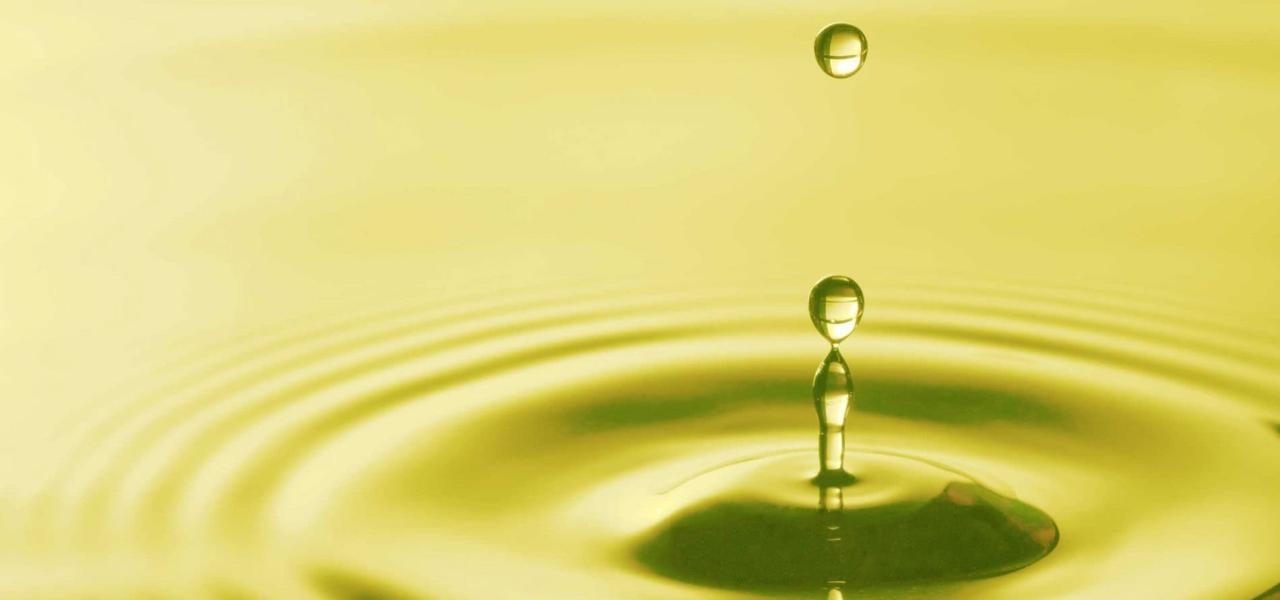 Organic Hair Oil: Discover the benefits of hair oil | This Green