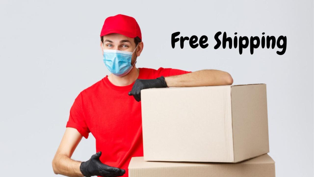 Mengenal Free Shipping Dalam Strategi Promosi, Apa Saja Manfaatnya?